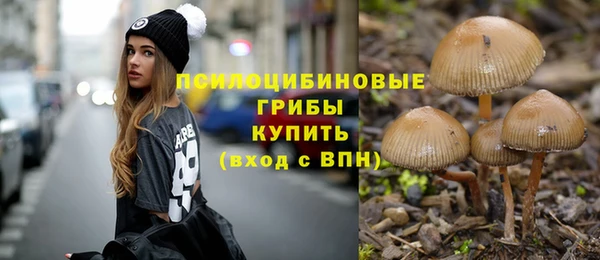 молекула духа Белокуриха