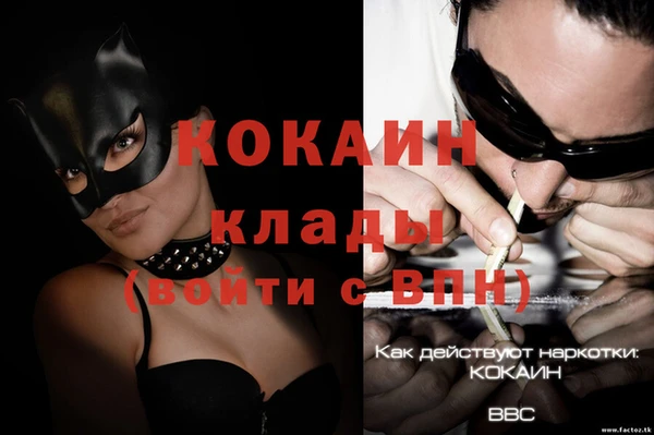 прущие грибы Белоозёрский