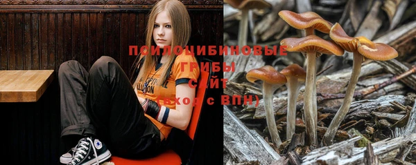 молекула духа Белокуриха