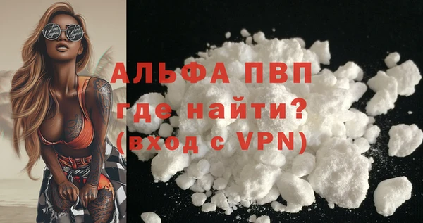 прущие грибы Белоозёрский