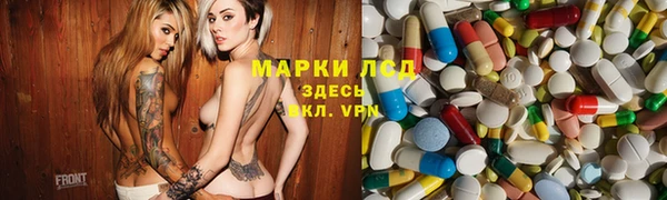 прущие грибы Белоозёрский