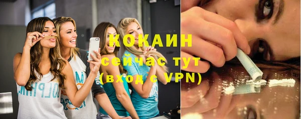 молекула духа Белокуриха